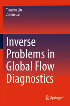Liu / Cai |  Inverse Problems in Global Flow Diagnostics | Buch |  Sack Fachmedien