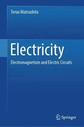 Matsushita | Electricity | Buch | 978-3-031-44001-4 | sack.de