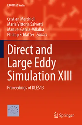 Marchioli / Schlatter / Salvetti |  Direct and Large Eddy Simulation XIII | Buch |  Sack Fachmedien