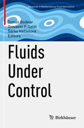 Bodnár / Necasová / Galdi |  Fluids Under Control | Buch |  Sack Fachmedien