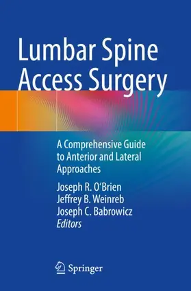 O'Brien / Babrowicz / Weinreb |  Lumbar Spine Access Surgery | Buch |  Sack Fachmedien