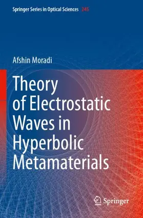 Moradi |  Theory of Electrostatic Waves in Hyperbolic Metamaterials | Buch |  Sack Fachmedien