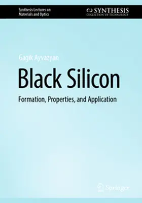 Ayvazyan |  Black Silicon | Buch |  Sack Fachmedien