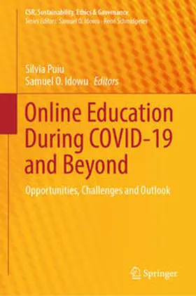 Puiu / Idowu |  Online Education During COVID-19 and Beyond | Buch |  Sack Fachmedien