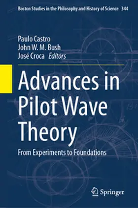 Castro / Bush / Croca |  Advances in Pilot Wave Theory | eBook | Sack Fachmedien