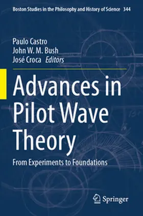 Castro / Bush / Croca |  Advances in Pilot Wave Theory | Buch |  Sack Fachmedien