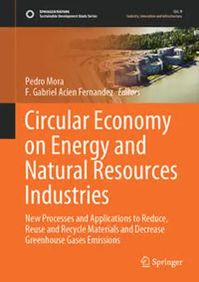 Acien Fernandez / Mora |  Circular Economy on Energy and Natural Resources Industries | Buch |  Sack Fachmedien