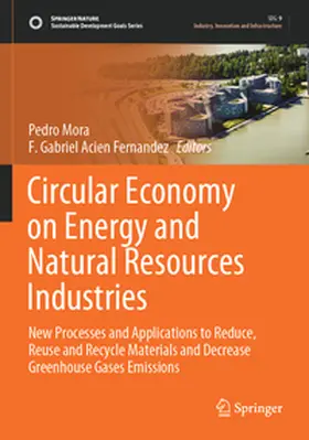 Acien Fernandez / Mora |  Circular Economy on Energy and Natural Resources Industries | Buch |  Sack Fachmedien