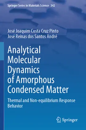 Costa Cruz Pinto / dos Santos André |  Analytical Molecular Dynamics of Amorphous Condensed Matter | Buch |  Sack Fachmedien