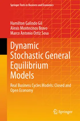Galindo Gil / Montecinos Bravo / Ortiz Sosa |  Dynamic Stochastic General Equilibrium Models | eBook | Sack Fachmedien