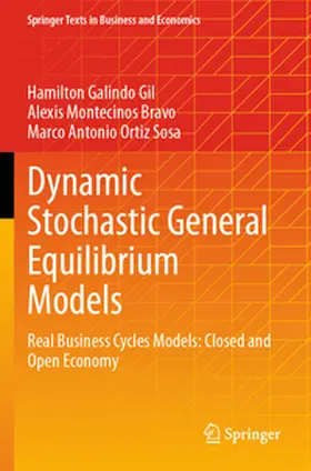 Galindo Gil / Montecinos Bravo / Ortiz Sosa |  Dynamic Stochastic General Equilibrium Models | Buch |  Sack Fachmedien