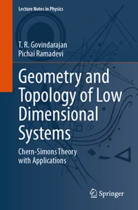 Govindarajan / Ramadevi | Geometry and Topology of Low Dimensional Systems | E-Book | sack.de