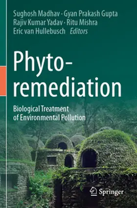 Madhav / Gupta / Yadav |  Phytoremediation | Buch |  Sack Fachmedien