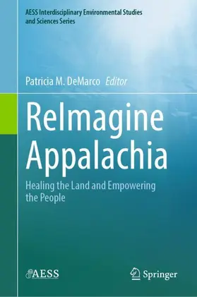 DeMarco |  ReImagine Appalachia | Buch |  Sack Fachmedien
