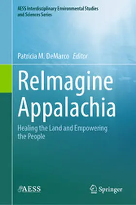 DeMarco |  ReImagine Appalachia | eBook | Sack Fachmedien