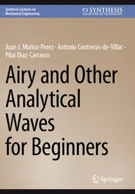 Muñoz-Perez / Contreras-de-Villar / Diaz-Carrasco |  Airy and Other Analytical Waves for Beginners | Buch |  Sack Fachmedien
