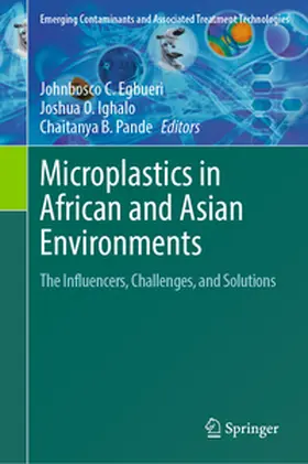 Egbueri / Ighalo / Pande |  Microplastics in African and Asian Environments | eBook | Sack Fachmedien