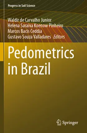de Carvalho Junior / Saraiva Koenow Pinheiro / Bacis Ceddia |  Pedometrics in Brazil | Buch |  Sack Fachmedien