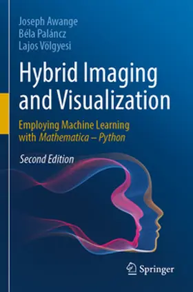 Awange / Paláncz / Völgyesi |  Hybrid Imaging and Visualization | eBook | Sack Fachmedien