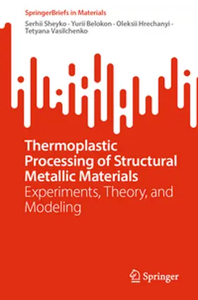 Sheyko / Belokon / Hrechanyi |  Thermoplastic Processing of Structural Metallic Materials | eBook | Sack Fachmedien