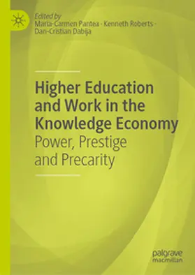 Pantea / Dabija / Roberts |  Higher Education and Work in the Knowledge Economy | Buch |  Sack Fachmedien