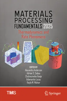 Anderson / Sabau / Iloeje |  Materials Processing Fundamentals 2025 | Buch |  Sack Fachmedien