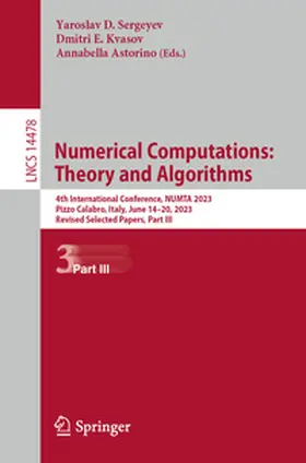 Sergeyev / Kvasov / Astorino |  Numerical Computations: Theory and Algorithms | Buch |  Sack Fachmedien