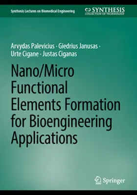 Palevicius / Janusas / Cigane |  Nano/Micro Functional Elements Formation for Bioengineering Applications | eBook | Sack Fachmedien