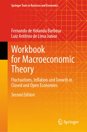 de Lima Junior / Barbosa |  Workbook for Macroeconomic Theory | Buch |  Sack Fachmedien