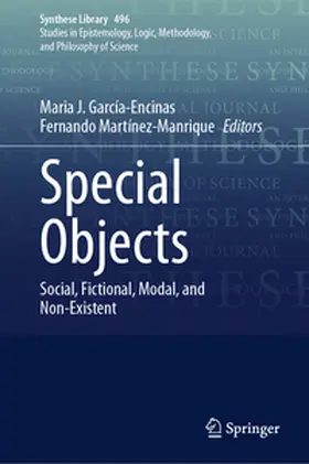 García-Encinas / Martínez-Manrique | Special Objects | E-Book | sack.de