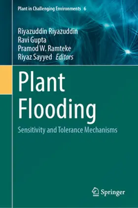 Riyazuddin / Gupta / Ramteke |  Plant Flooding | Buch |  Sack Fachmedien