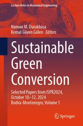 Durakbasa / Gülen |  Sustainable Green Conversion | eBook | Sack Fachmedien