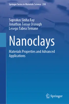 Ray / Tersur Orasugh / Temane | Nanoclays | E-Book | sack.de