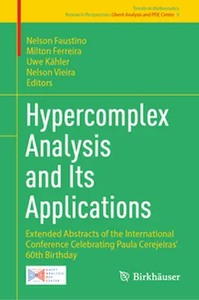 Faustino / Ferreira / Kähler |  Hypercomplex Analysis and Its Applications | eBook | Sack Fachmedien