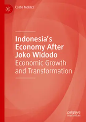 Moldicz |  Indonesia’s Economy After Joko Widodo | eBook | Sack Fachmedien