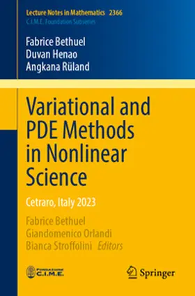 Bethuel / Henao / Rüland |  Variational and PDE Methods in Nonlinear Science | eBook | Sack Fachmedien