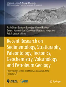 Çiner / Banerjee / Radwan |  Recent Research on Sedimentology, Stratigraphy, Paleontology, Tectonics, Geochemistry, Volcanology and Petroleum Geology | eBook | Sack Fachmedien