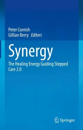 Cornish / Berry | Synergy | Buch | 978-3-031-88492-4 | sack.de