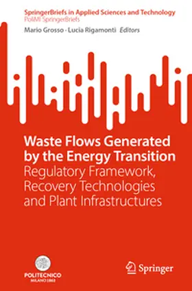 Grosso / Rigamonti |  Waste Flows Generated by the Energy Transition | eBook | Sack Fachmedien
