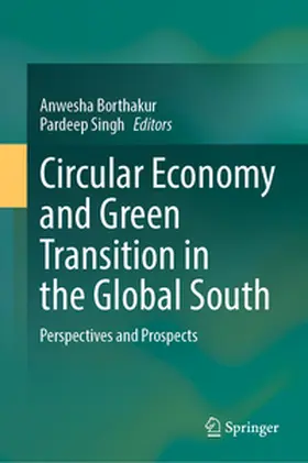 Borthakur / Singh |  Circular Economy and Green Transition in the Global South | eBook | Sack Fachmedien