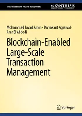 Amiri / Agrawal / El Abbadi |  Blockchain-Enabled Large-Scale Transaction Management | eBook | Sack Fachmedien