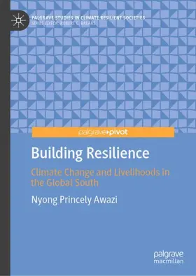 Awazi |  Building Resilience | Buch |  Sack Fachmedien
