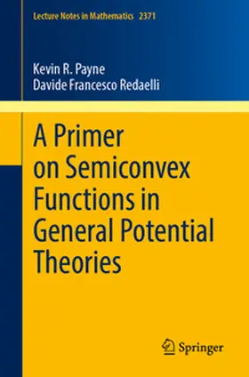 Payne / Redaelli |  A Primer on Semiconvex Functions in General Potential Theories | eBook | Sack Fachmedien