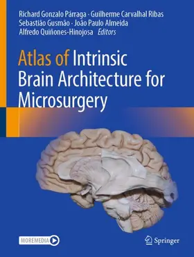 Párraga / Carvalhal Ribas / Gusmão |  Atlas of Intrinsic Brain Architecture for Microsurgery | Buch |  Sack Fachmedien