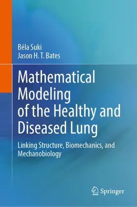Suki / Bates |  Mathematical Modeling of the Healthy and Diseased Lung | Buch |  Sack Fachmedien