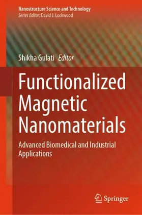 Gulati | Functionalized Magnetic Nanomaterials | Buch | 978-3-031-97198-3 | sack.de