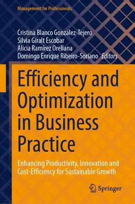 Blanco González-Tejero / Giralt Escobar / Ramírez Orellana |  Efficiency and Optimization in Business Practice | Buch |  Sack Fachmedien