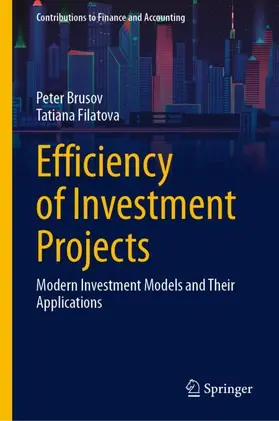 Brusov / Filatova |  Efficiency of Investment Projects | Buch |  Sack Fachmedien