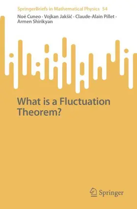 Cuneo / Jakšic / Jakšic |  What is a Fluctuation Theorem? | Buch |  Sack Fachmedien
