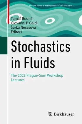 Bodnár / Galdi / Necasová |  Stochastics in Fluids | Buch |  Sack Fachmedien